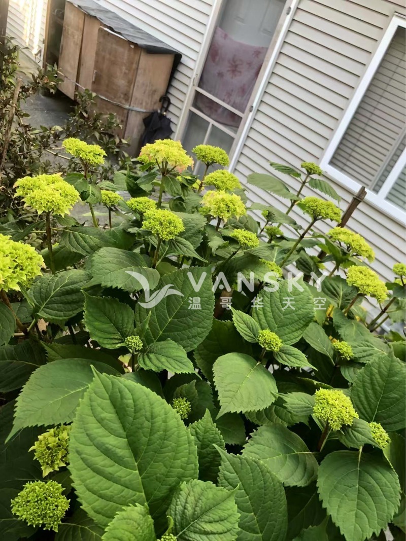 250603194811_Weixin Image_20250603194705.jpg